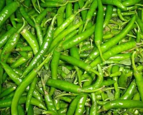 Green Chillies 500 gms ( Only for Customers based in Munich)