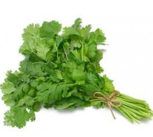 Dhaniya (Coriander) 1 Bunch (Only for Munich Based Customers)