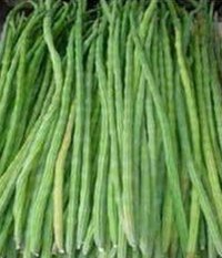 Drumsticks 250 gms ( Only for Munich Based Customers)