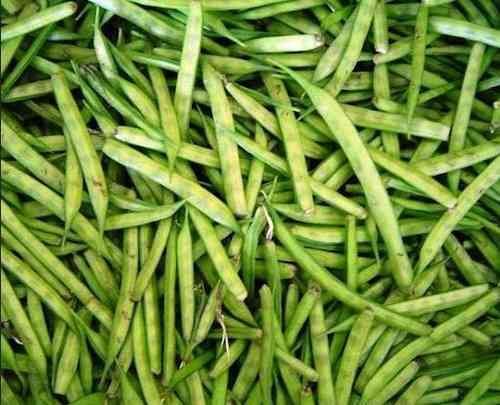 Gawar Beans (Gawar Fali) for Munich Based Customers only- 500 gms