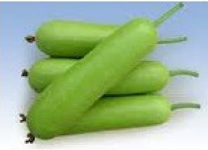 Loki (Ghiya) 530gms (only for munich Based Customers)