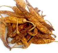 Curd Chilli (Butter chilliy) 100g